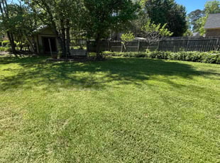 Tyler D.'s lawn maintenance service result