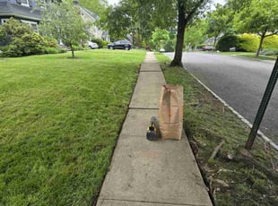 Rob G.'s grass maintenance service result