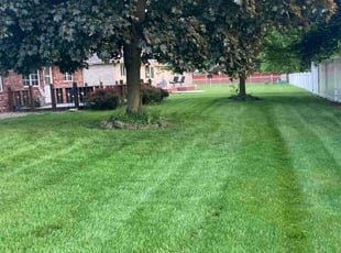 James M.'s turf care service result