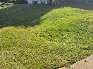 Elizabeth L.'s lawn care services service result