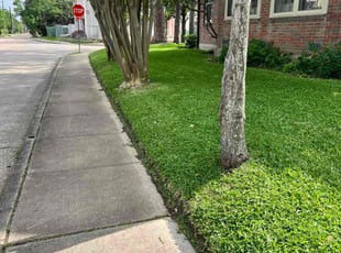 Adan L.'s lawn maintenance service result