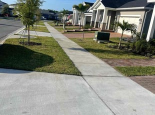 Alexis L.'s lawn care service result