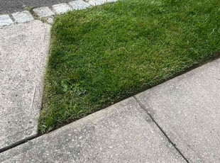 Charmaine C.'s lawn service service result