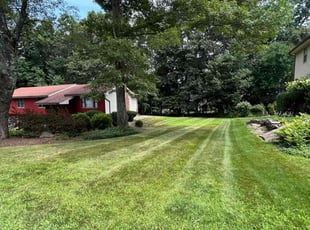 Camile I.'s grass maintenance service result