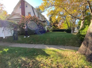 Shanon K.'s lawn service service result