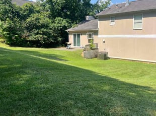 Tracy B.'s grass maintenance service result