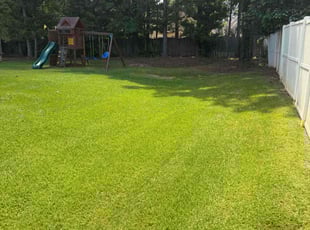 Michael B.'s lawn care service result