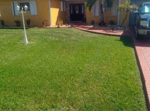 Jasmine J.'s grass cutting service result