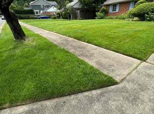 Lekeya H.'s yard care service result