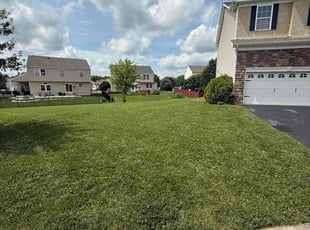 Sandra B.'s grass maintenance service result