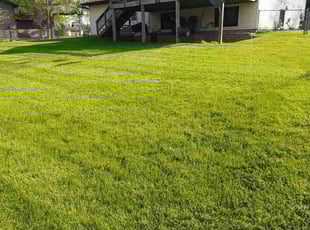 Nicholas A.'s lawn maintenance service result