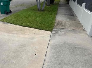 Tara B.'s lawn care service result