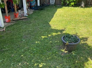 Lane L.'s grass cutting service result