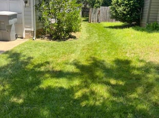 Kiana B.'s lawn service service result