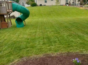 John M.'s lawn maintenance service result