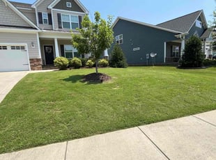 Barry W.'s grass maintenance service result