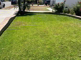 Lionel M.'s lawn service service result