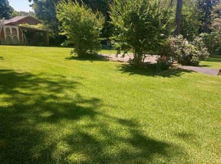 Toni C.'s lawn care services service result