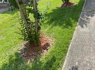 George G.'s turf maintenance service result