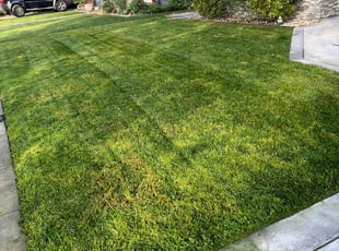 Becky B.'s lawn care services service result