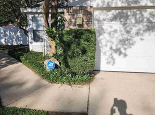 Aaron B.'s Bush Trimming service result