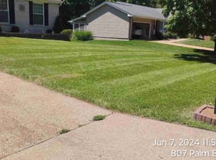 Kathryn P.'s lawn care services service result