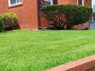 Anthony L.'s lawn care service result