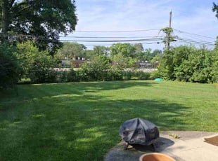 Mike P.'s lawn care service result