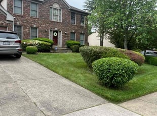 Dawn G.'s lawn service service result