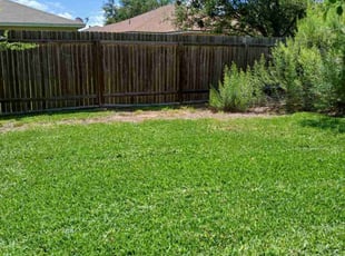 Paul D.'s turf care service result