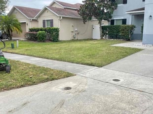 Daphane S.'s Leaf Removal service result