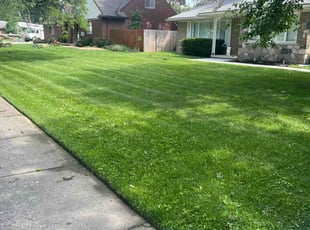 Alexis P.'s turf maintenance service result