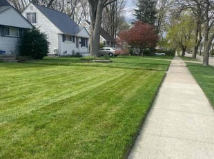 Brian S.'s lawn care services service result
