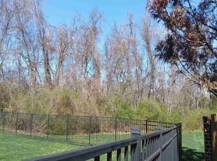 Tabi A.'s turf care service result