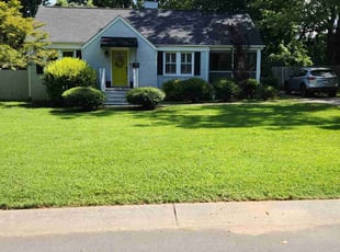 Lisa M.'s grass cutting service result