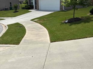 Madhavi A.'s lawn care services service result