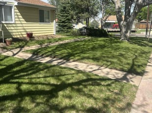 Meredith B.'s lawn maintenance service result