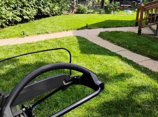 Stephanie B.'s lawn maintenance service result