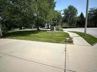 Mary D.'s lawn care services service result
