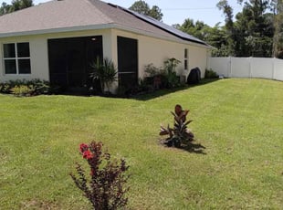 Wesley P.'s lawn service service result