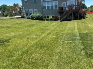 Susan B.'s turf care service result