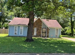 Kelsey B.'s grass cutting service result