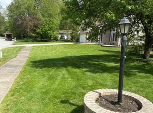 Rachi R.'s grass maintenance service result