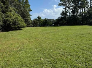 Josh L.'s turf maintenance service result