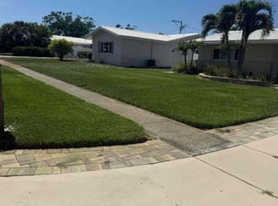 Shakendra J.'s turf care service result