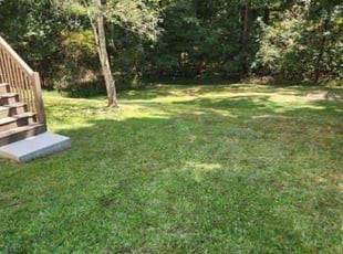 Ezenta N.'s lawn maintenance service result