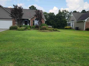 Nikolette G.'s grass maintenance service result