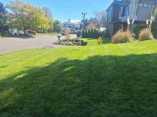 William R.'s turf maintenance service result