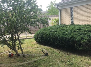 Zulfan B.'s Bush Trimming service result