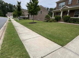 Aliesha B.'s grass cutting service result